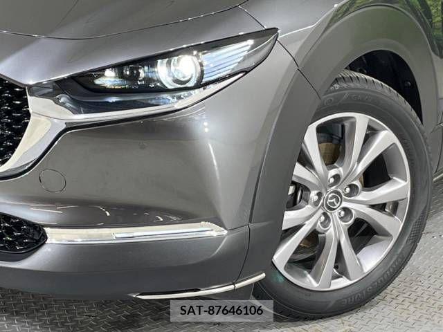 Mazda CX-30 2019-10 265634-11