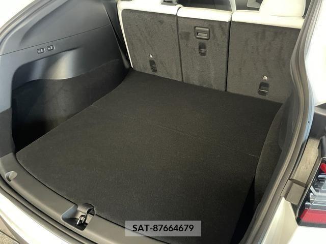 Tesla MODEL Y 2022-09 332939-16