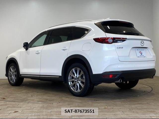 Mazda CX-8 2018-07 223944-14