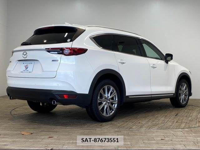 Mazda CX-8 2018-07 223944-13