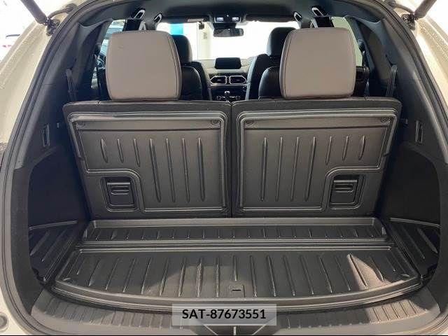 Mazda CX-8 2018-07 223944-10
