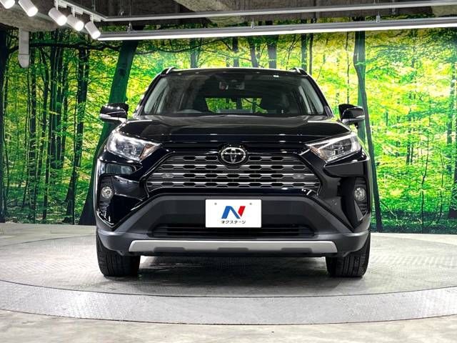 Toyota RAV4 2019-06 18313-14