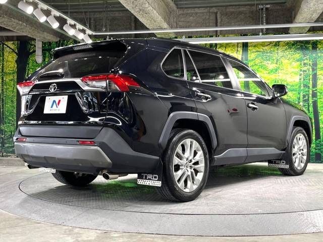 Toyota RAV4 2019-06 18313-17