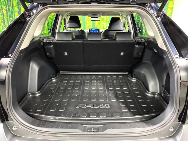 Toyota RAV4 2019-06 18313-10