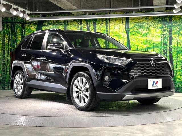 Toyota RAV4 2019-06 18313-16