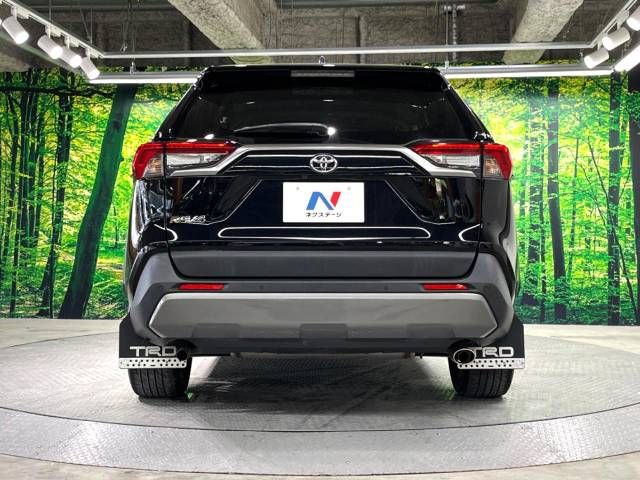 Toyota RAV4 2019-06 18313-15