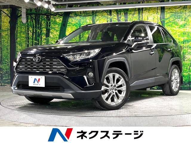 Toyota RAV4 2019-06 18313-0