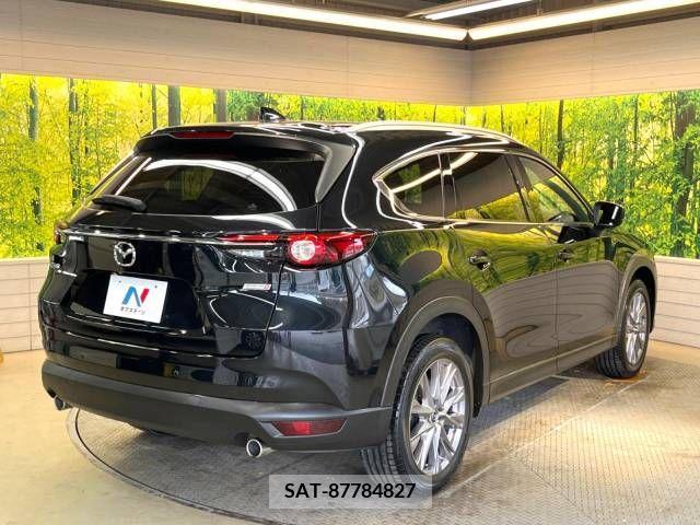 Mazda CX-8 2019-06 217174-19