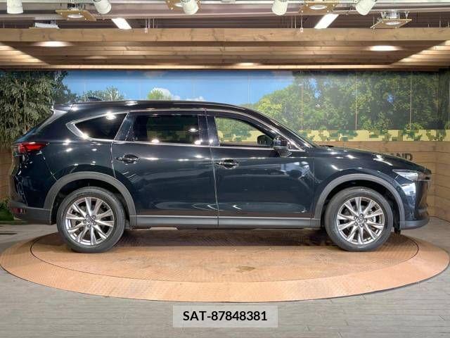 Mazda CX-8 2019-01 222644-19