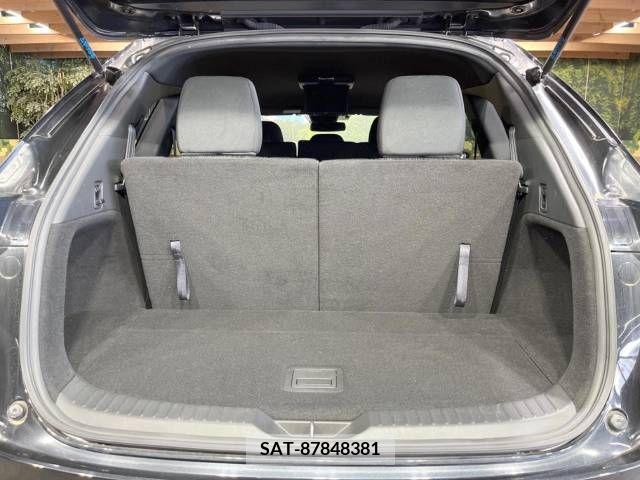 Mazda CX-8 2019-01 222644-13