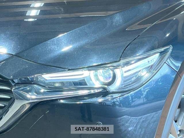 Mazda CX-8 2019-01 222644-10