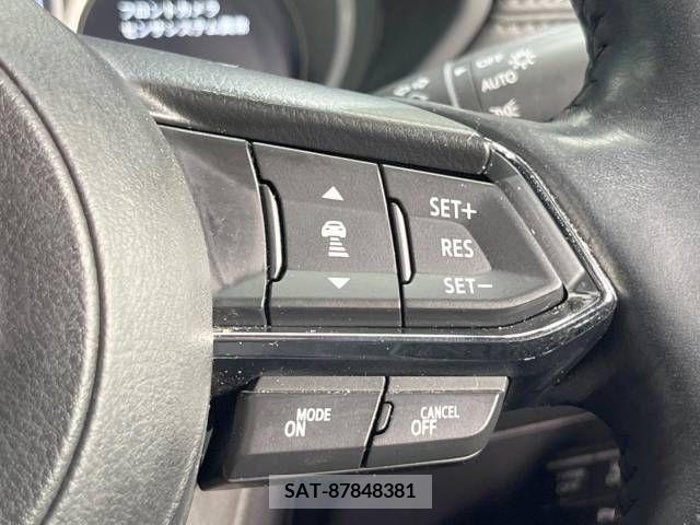 Mazda CX-8 2019-01 222644-4