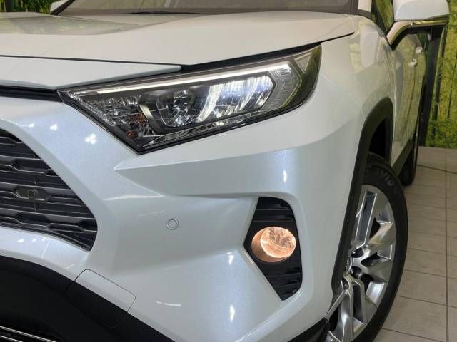 Toyota RAV4 2019-07 192545-12