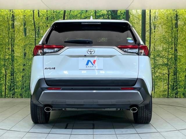 Toyota RAV4 2019-07 192545-15