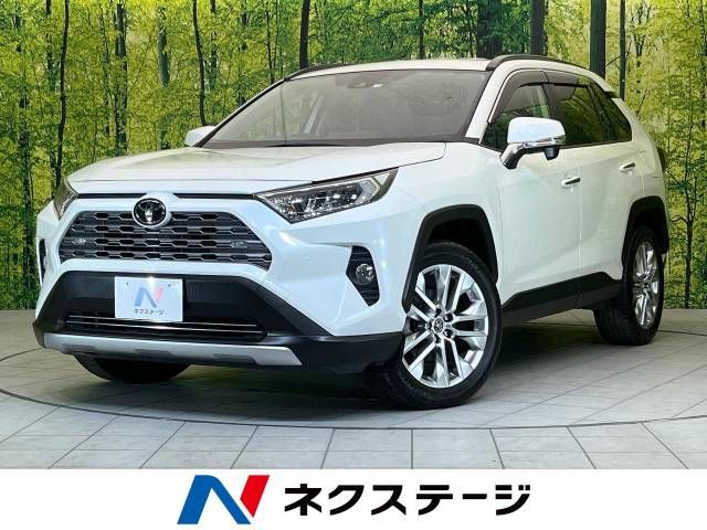Toyota RAV4 2019-07 192545-0