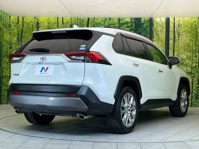 Toyota RAV4 2019-07 192545-17