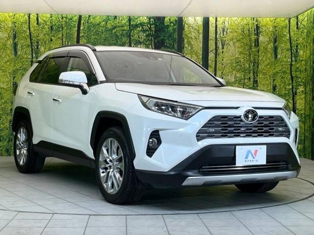 Toyota RAV4 2019-07 192545-16