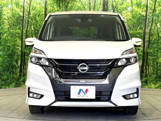 Nissan SERENA 2019-03 12252-15