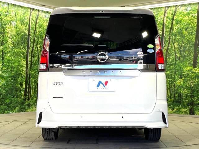 Nissan SERENA 2019-03 12252-16