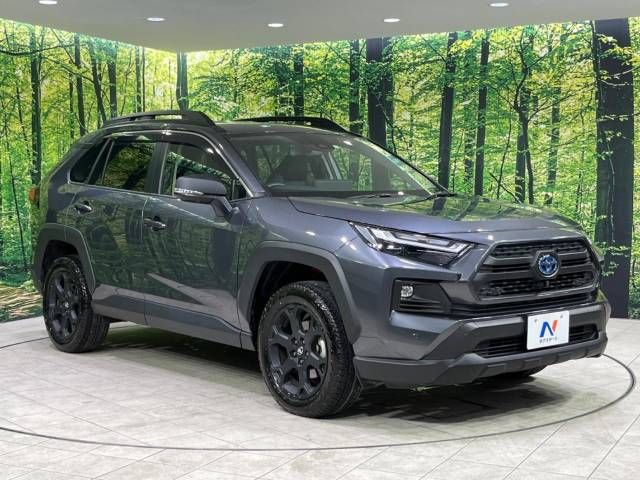 Toyota RAV4 2023-01 24777-16
