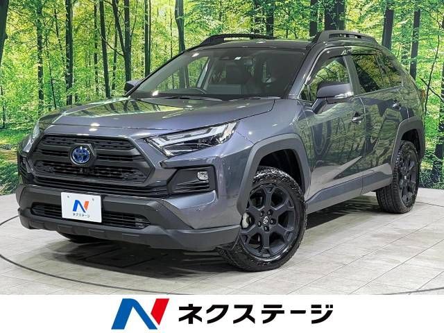 Toyota RAV4 2023-01 24777-0