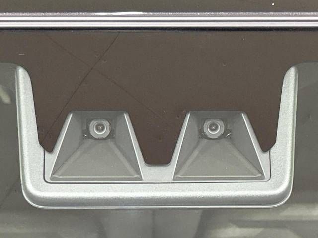 Daihatsu TAFT 2020-09 13473-2