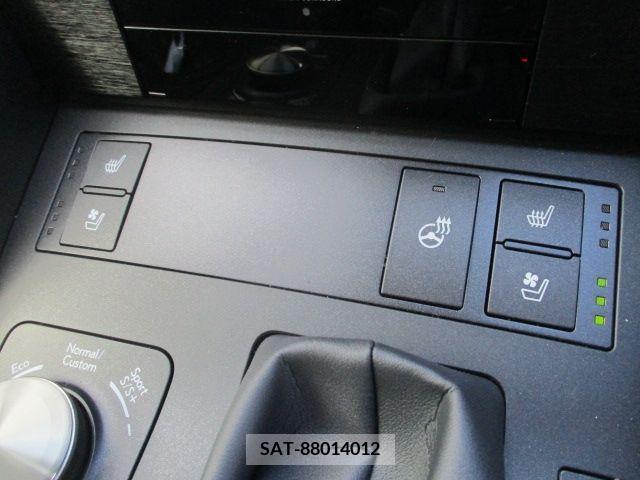 Lexus IS 2023-09 391865-22