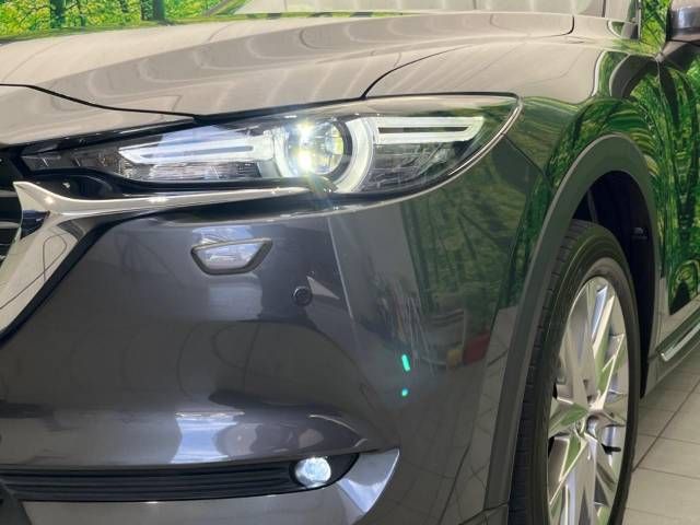 Mazda CX-8 2018-04 16786-13