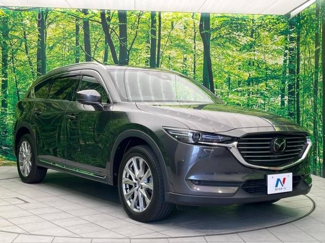 Mazda CX-8 2018-04 16786-17
