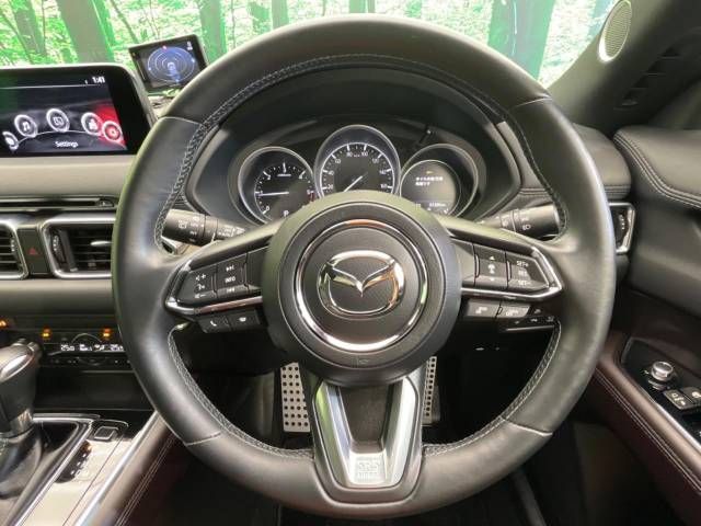 Mazda CX-8 2018-04 16786-12