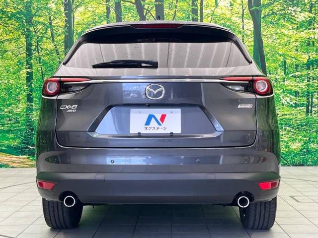 Mazda CX-8 2018-04 16786-16