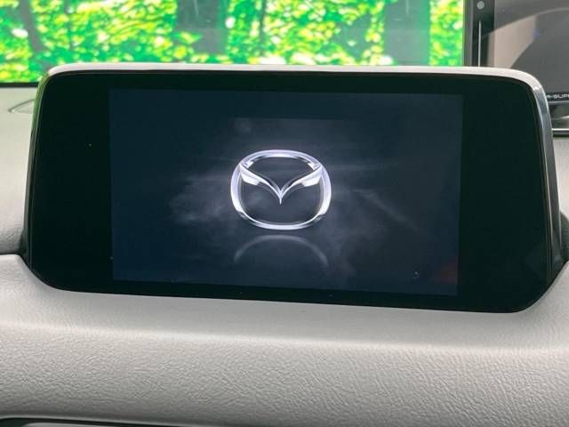 Mazda CX-8 2018-04 16786-5