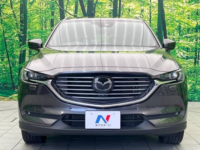 Mazda CX-8 2018-04 16786-15