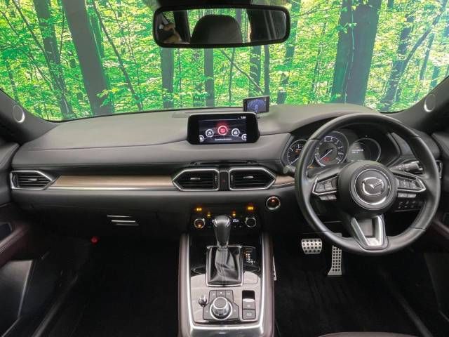 Mazda CX-8 2018-04 16786-1