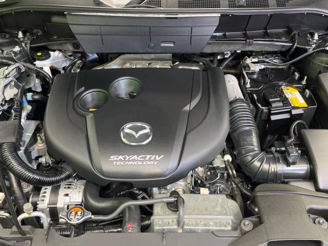Mazda CX-8 2018-04 16786-19