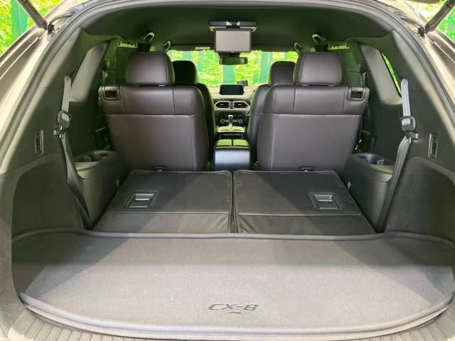 Mazda CX-8 2018-04 16786-11