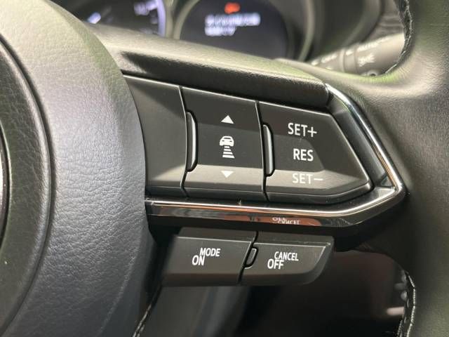 Mazda CX-8 2018-04 16786-7