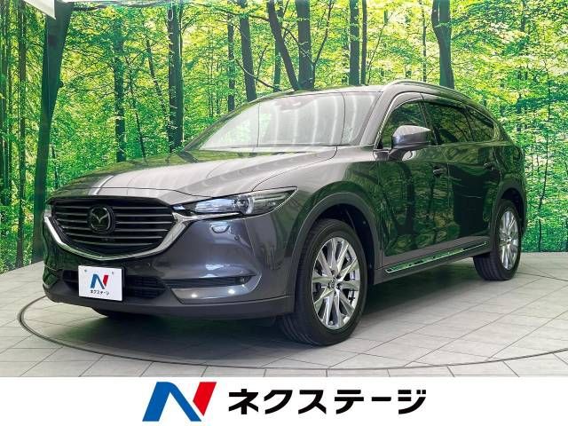 Mazda CX-8 2018-04 16786-0