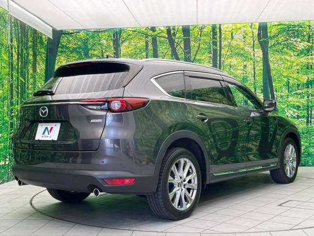 Mazda CX-8 2018-04 16786-18