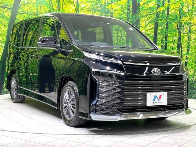 Toyota VOXY 2023-03 196132-16