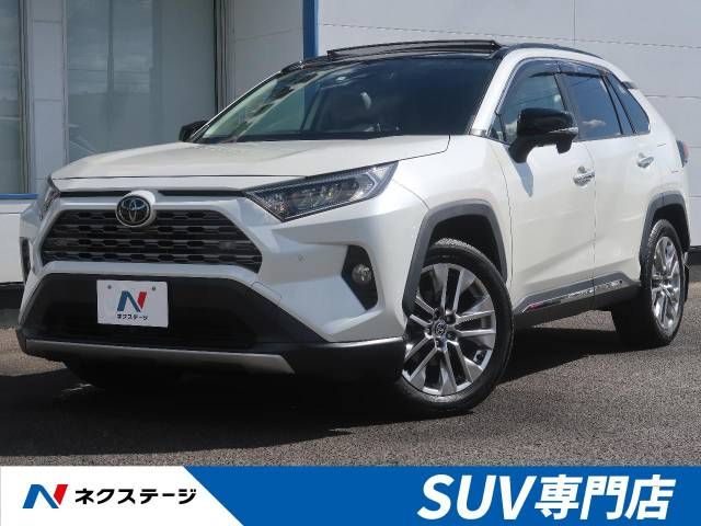 Toyota RAV4 2019-07 13065-0