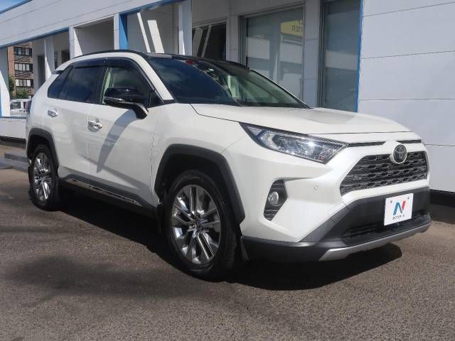 Toyota RAV4 2019-07 13065-16
