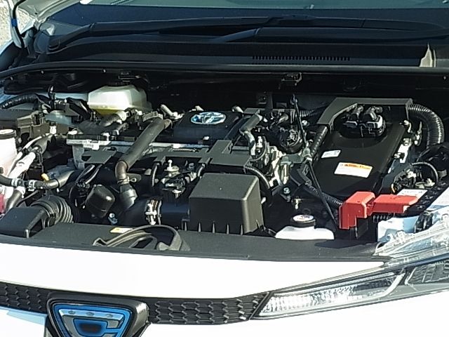 Toyota COROLLA SEDAN 2019-12 195204-21