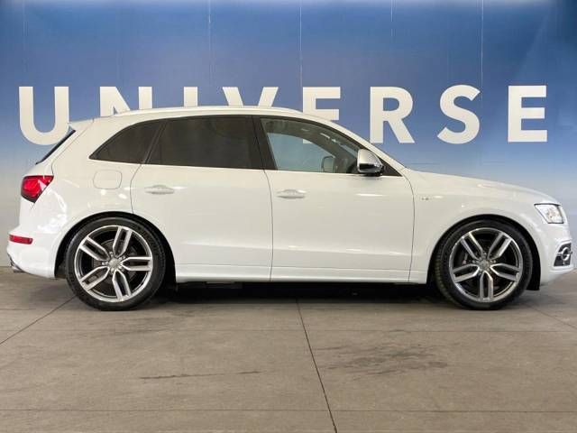 Audi SQ5 2015-02 180838-18