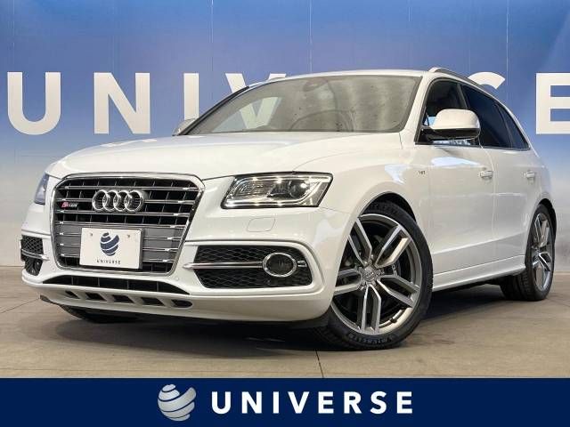 Audi SQ5 2015-02 180838-0