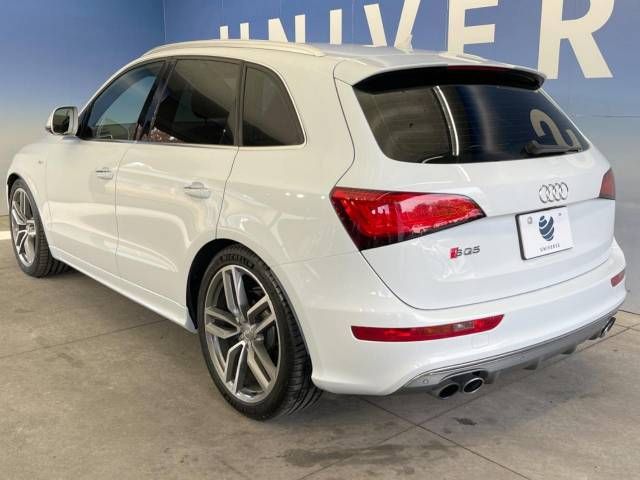 Audi SQ5 2015-02 180838-17