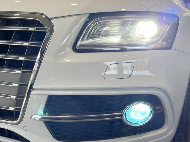 Audi SQ5 2015-02 180838-12