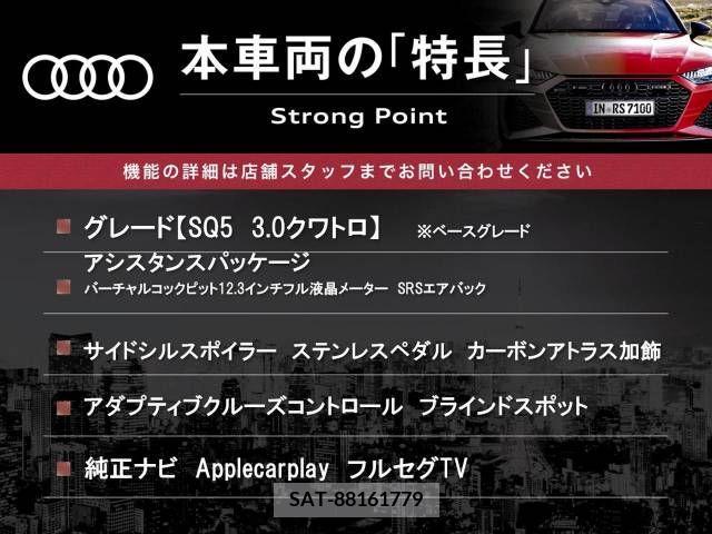 Audi SQ5 2018-03 356640-2