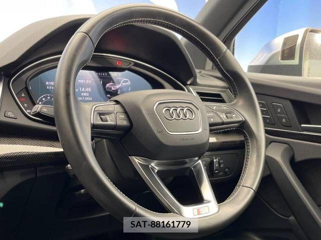 Audi SQ5 2018-03 356640-19