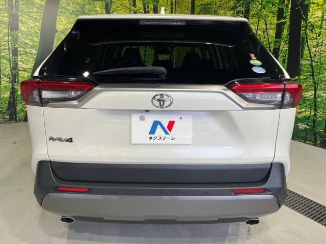 Toyota RAV4 2019-05 5725-15